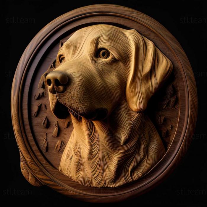 3D model Kai dog breed dog (STL)